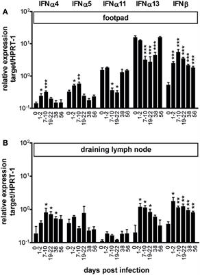 Type I Interferon Signaling Is Required for CpG-Oligodesoxynucleotide-Induced Control of Leishmania major, but Not for Spontaneous Cure of Subcutaneous Primary or Secondary L. major Infection